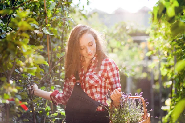 Gärtnerin Mit Korb Inmitten Des Grüns Einem Gartencenter Auf Der — Stockfoto