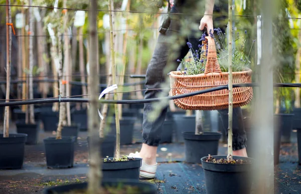 Tuinman Vrouw Met Mand Wandelen Tussen Planten Een Tuincentrum — Stockfoto