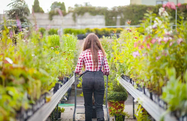 Gärtnerin Mit Einkaufswagen Wählt Pflanzen Und Spaziert Durch Gasse Gartencenter — Stockfoto