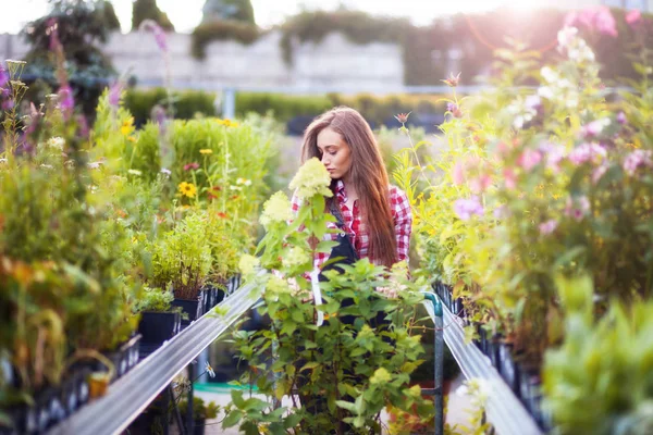 Gärtnerin Mit Einkaufswagen Wählt Pflanzen Und Spaziert Durch Gasse Gartencenter — Stockfoto