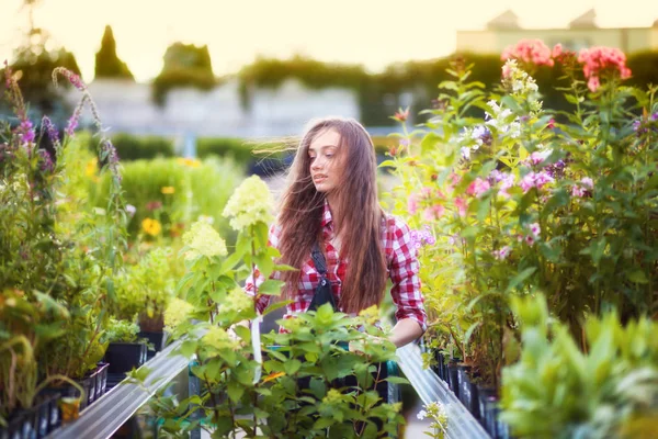 Gärtnerin Mit Einkaufswagen Wählt Pflanzen Und Spaziert Durch Gasse Gartencenter — Stockfoto