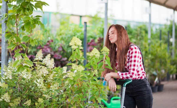 Gärtnerin Mit Einkaufswagen Wählt Pflanzen Gartencenter Aus — Stockfoto