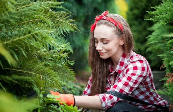 Junggärtnerin Pflegt Farne Ihrem Garten — Stockfoto