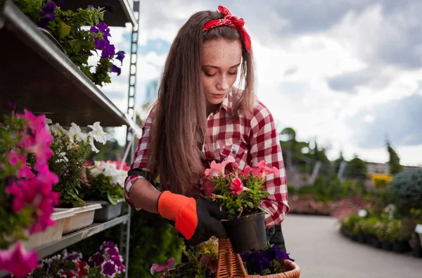 Junge Gärtnerin Mit Korb Wählt Topfblumen Gartencenter — Stockfoto