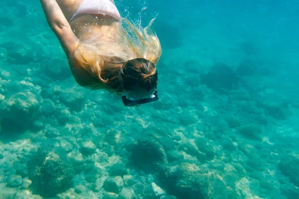 熱帯の海で水中シュノーケ リング — ストック写真