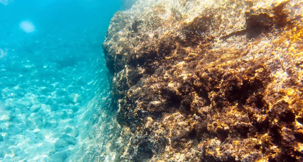 Podwodne Tło Morskie Skałami Krajobraz Oceanu — Zdjęcie stockowe