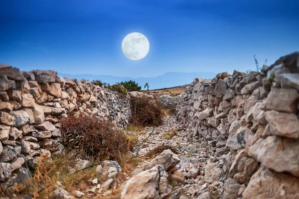 Landscape Big Moon — Stock Photo, Image