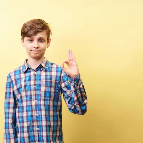 OK, tillfredsställelse och godkännande, pojke gestikulerande okej — Stockfoto
