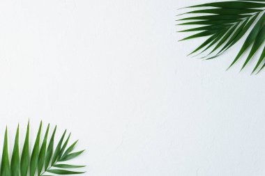 yaz tatil, seyahat, okyanus kıyısında arka plan