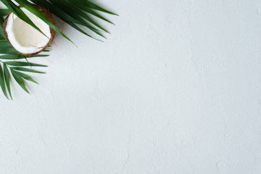 yaz tatili, seyahat. okyanus kıyısında, tropikal plaj, yalı. Hindistan cevizi hurma beyaz zemin üzerine bırakır. en az yaz konsepti. kopya alanı ile yaratıcı düzen, başlık sayfası veya poster şablonu