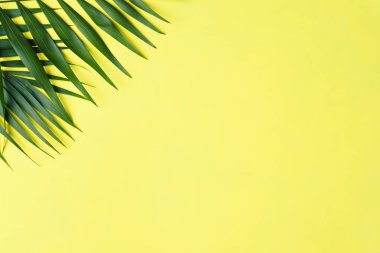 Yaz tropikal arka plan kopya alanı ile