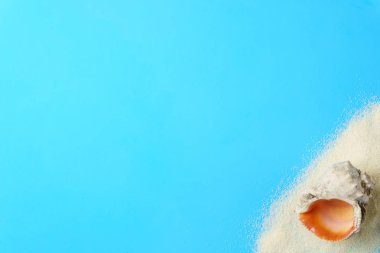 yaz tatili, deniz, tropikal plaj düzen