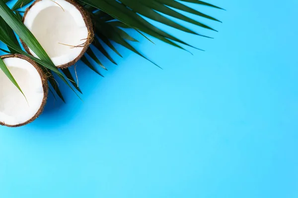 Fondo tropical de verano, concepto de vacaciones — Foto de Stock