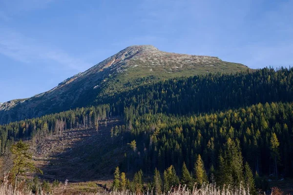 Parc National Des Hautes Tatras Vallée Mlynicka Slovaquie Europe — Photo