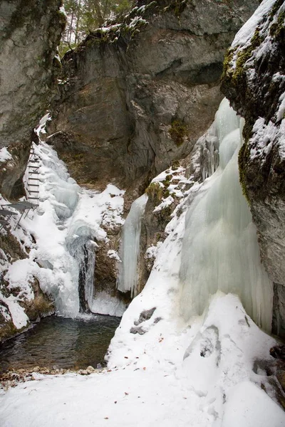 Grande Burrone Del Falco Nel Parco Nazionale Slovacco Paradise Inverno — Foto Stock