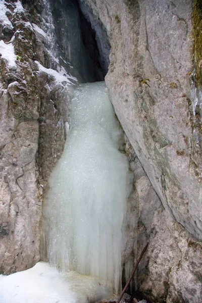 Kış Slovakya Slovak Paradise Milli Parkı Büyük Falcon Ravine — Stok fotoğraf