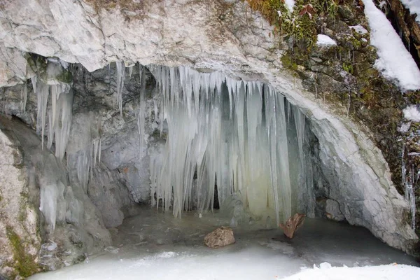 Duży Sokół Parku Narodowym Słowacki Raj Zimą Słowacja — Zdjęcie stockowe