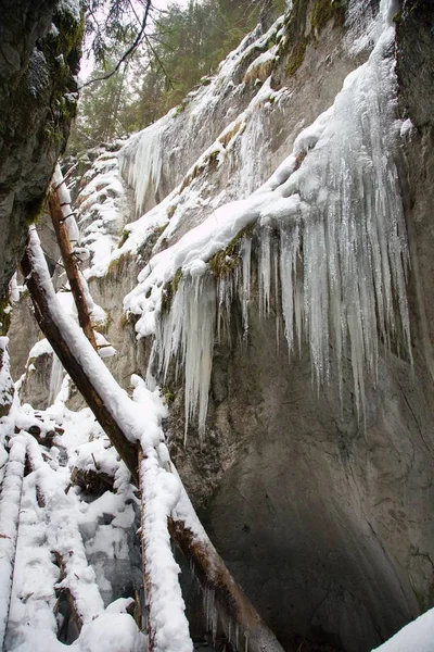 Big Falcon Ravine Slovak Paradise National Park Winter Slovakia — Stock Photo, Image