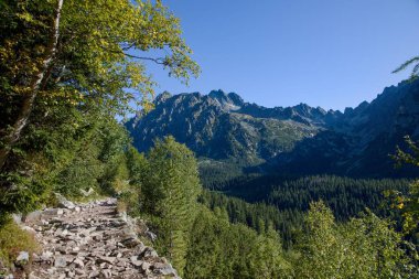 Slovakya 'daki High Tatras Ulusal Parkı' nda Hihikg