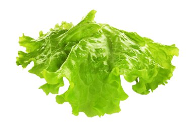 Kırpma yolu ile beyaz arka plan üzerinde izole marul yaprak yeşil