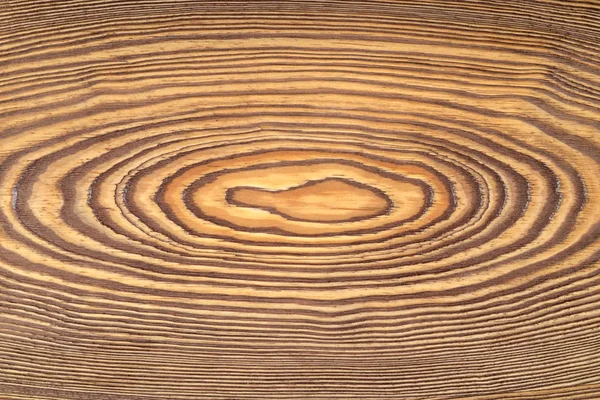 Dřevěné Průřez Oválnou Letokruhy Lze Použít Jako Texturu Nebo Pozadí — Stock fotografie
