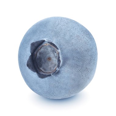 beyaz arkaplanda yaban mersini izole