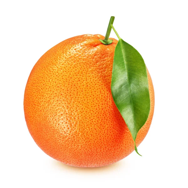 Grapefruit with leaf isolated on white background — Stock Photo, Image