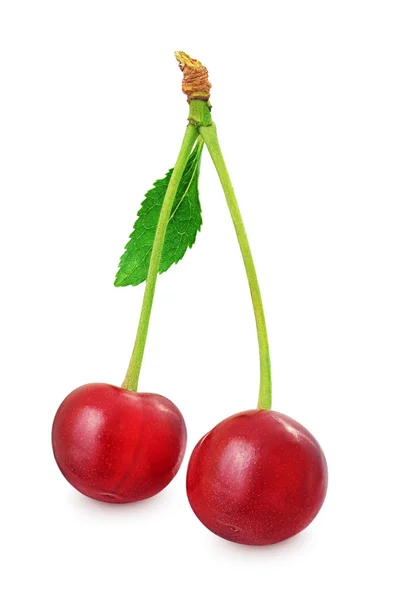 Cherry with leaf isolated on white background — Stock Photo, Image