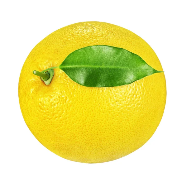 Gele grapefruit geïsoleerd op witte achtergrond — Stockfoto