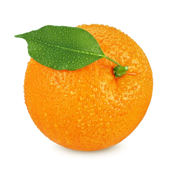 Egészben, nedves narancs izolált fehér alapon — Stock Fotó