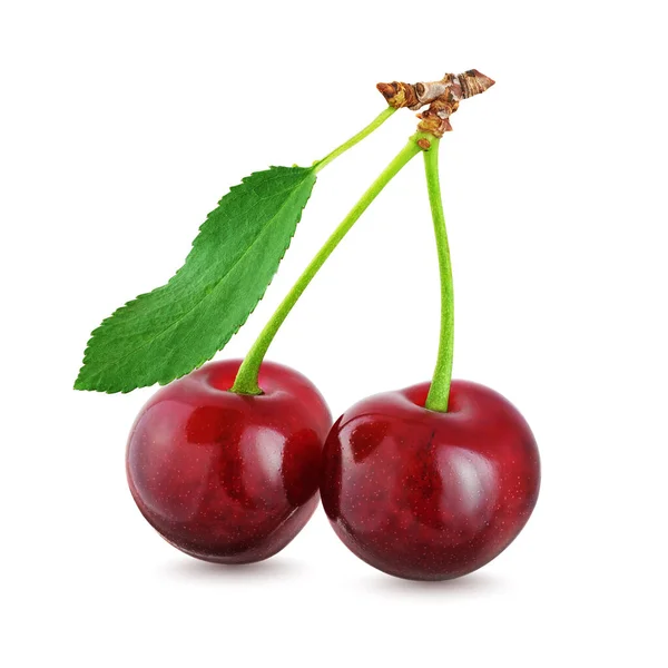 Dos Cerezas Con Hoja Aislada Sobre Fondo Blanco Con Camino — Foto de Stock