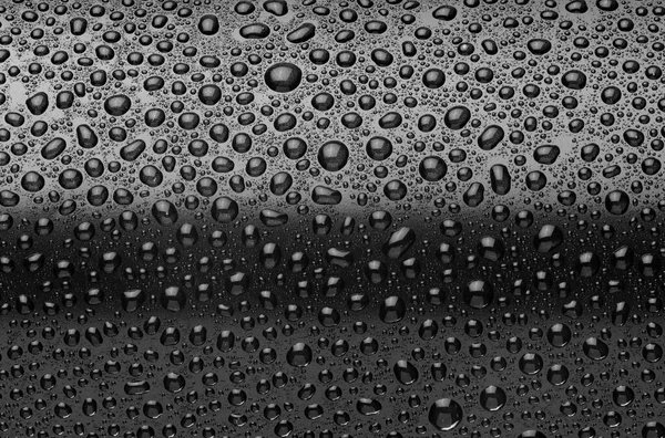 水滴や露のクローズアップマクロショットとブラックアルミ缶 — ストック写真