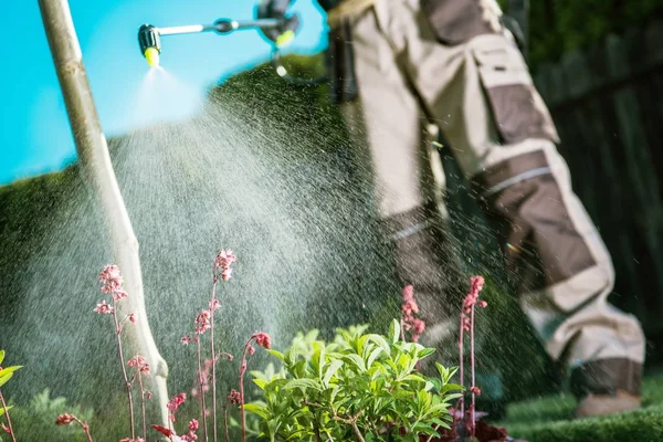 Gardener Fighting Insects Garden Oleh Insecticide Seluruh Taman Halaman Belakang — Stok Foto