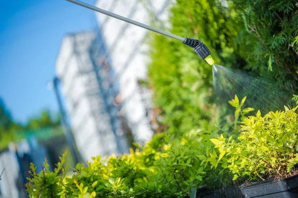 Inggris Garden Plants Insecticide Closeup Photo Pemeliharaan Taman Spring — Stok Foto