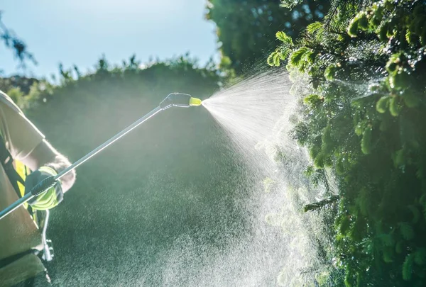 Insecticide Jardinier Job Travailleur Jardin Caucasien Avec Équipement Pulvérisation — Photo