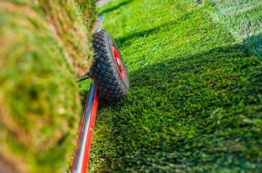 Creating New Grass Field in the Garden. Natural Turf Grass on the Moving Cart Closeup Photo. Landscaping Industry. clipart