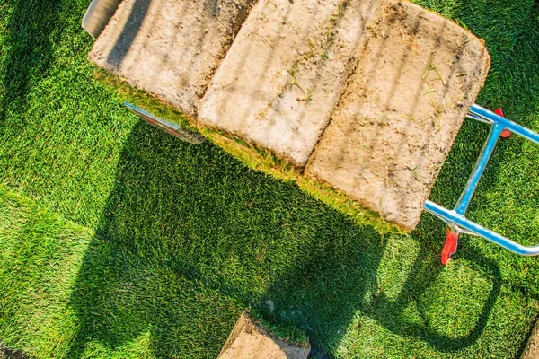 Yeni Çim Bahçe Için Doğa Çim Tema Yükleme Turfs Rulo — Stok fotoğraf