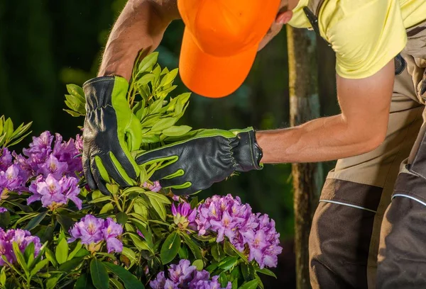 Onun 30s beyaz bahçıvan bahçe çiçekler böcekler için seyir kontrol.