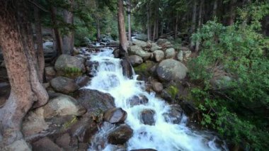Colorado vahşi dağ Nehri.