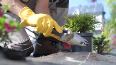 Beyaz bahçıvan arka bahçe içinde yeni ağaç dikme.