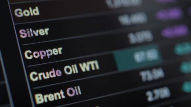 Emtia Ticaret tema. Altın, gümüş, ham petrol fiyatları. Tüccarlar bilgisayar ekran portre