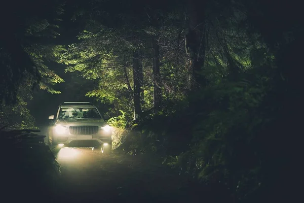 Night Drive Trough Forest White All Wheel Drive Sport Utility — Stock Photo, Image