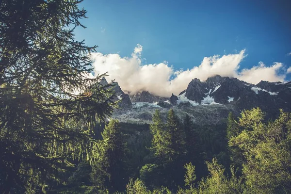 Zwitserse Alp Bergen Landschap Jungfrau Regio Zwitserland Europa Zomer Alpine — Stockfoto