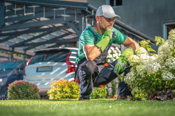 Onderhoud Van Tuin Bloemen Kaukasische Mannen Met Kleine Schaar Het — Stockfoto