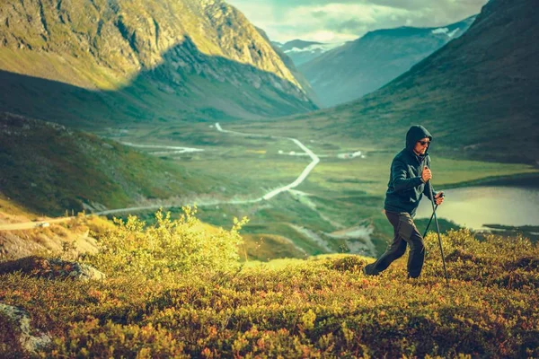 Stavgång Mountain Trail Kaukasiska Män Hans 30S Njuter Soliga Sommardag — Stockfoto