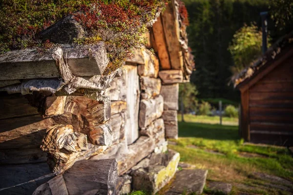 Aged Berghut Met Turfs Een Dak Gezellig Berg Cottage — Stockfoto