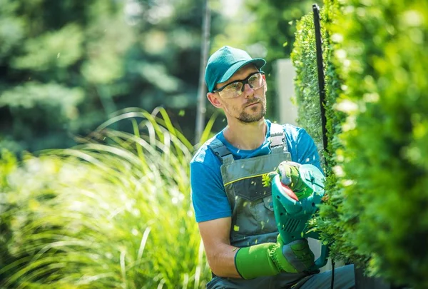 Kaukasische Tuinman Trimmen Muur Van Thujas Vormgeving Thema Van Planten — Stockfoto