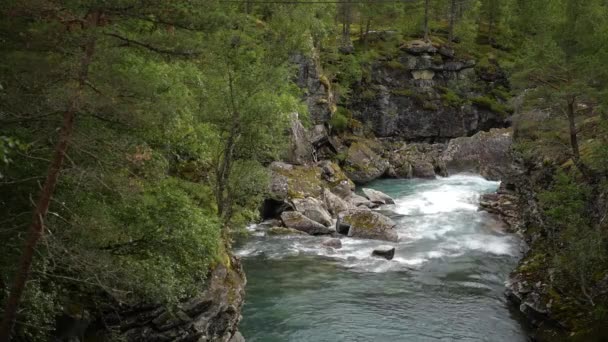 Scenic Noorse Rivier Het Landschap — Stockvideo