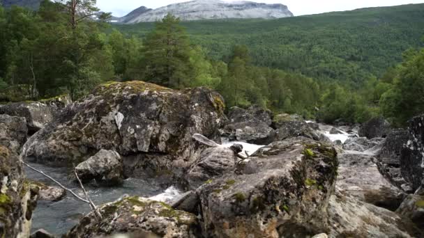 Сценический Норвежский Пейзаж Горной Рекой — стоковое видео