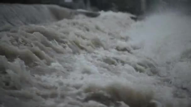 Fiume Flash Alluvione Acqua Primo Piano Video — Video Stock